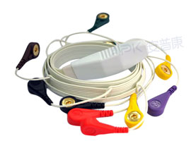 A1062-EC0 Mortara Compatible Hr12 ECG Holter Cable 10-lead Cable Snap, IEC